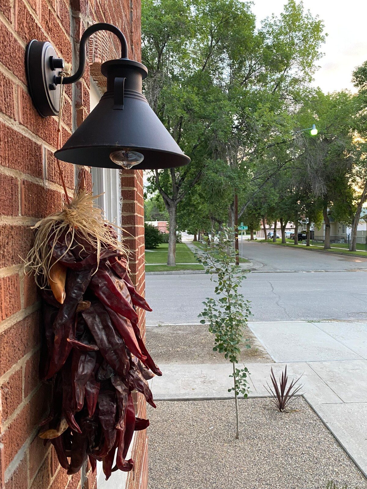 Black wall lantern with a bundle of dried red chiles beside a tree-lined street