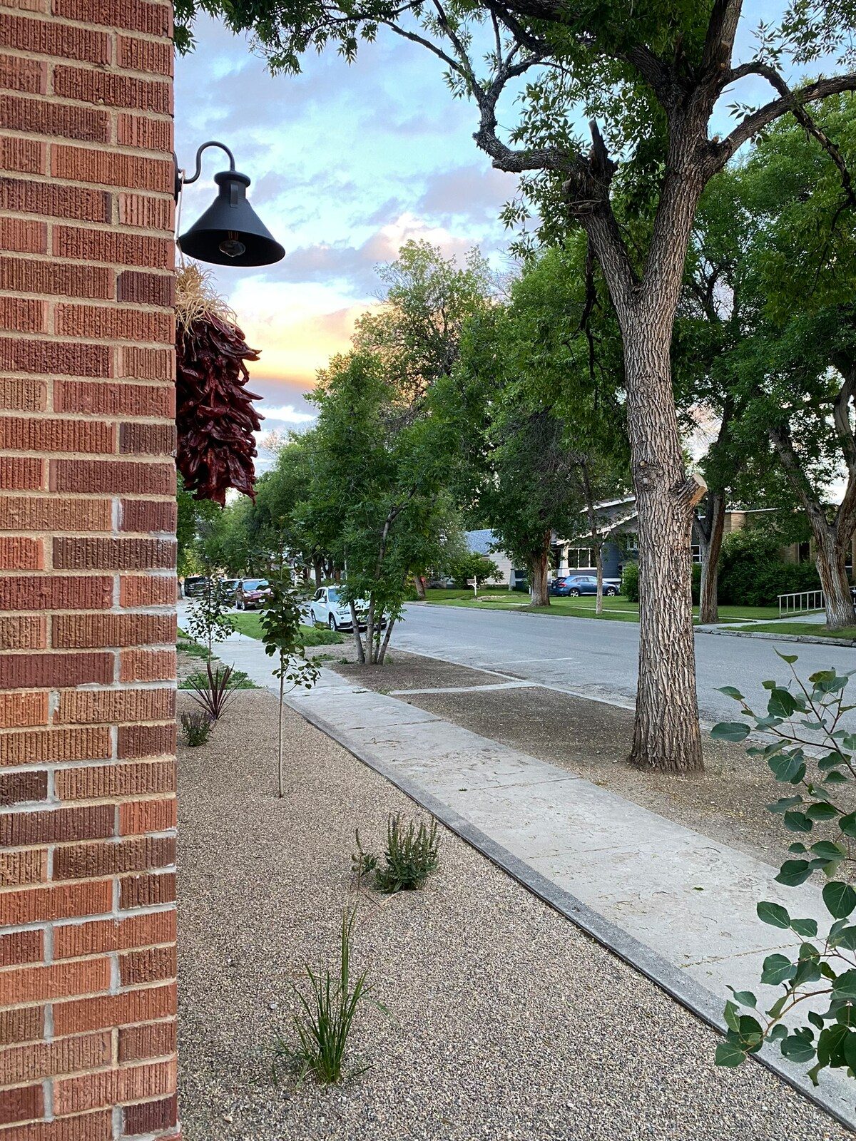 Brick wall, lantern and a tree-lined sidewalk in warm evening light